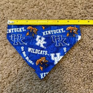 Reversible Kentucky Wildcats Dog Bandana